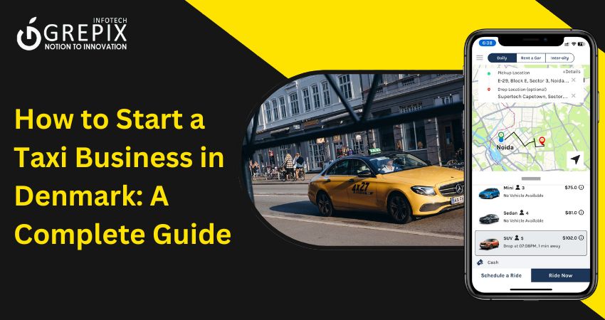 How to Start a Taxi Business in Denmark: A Complete Guide 