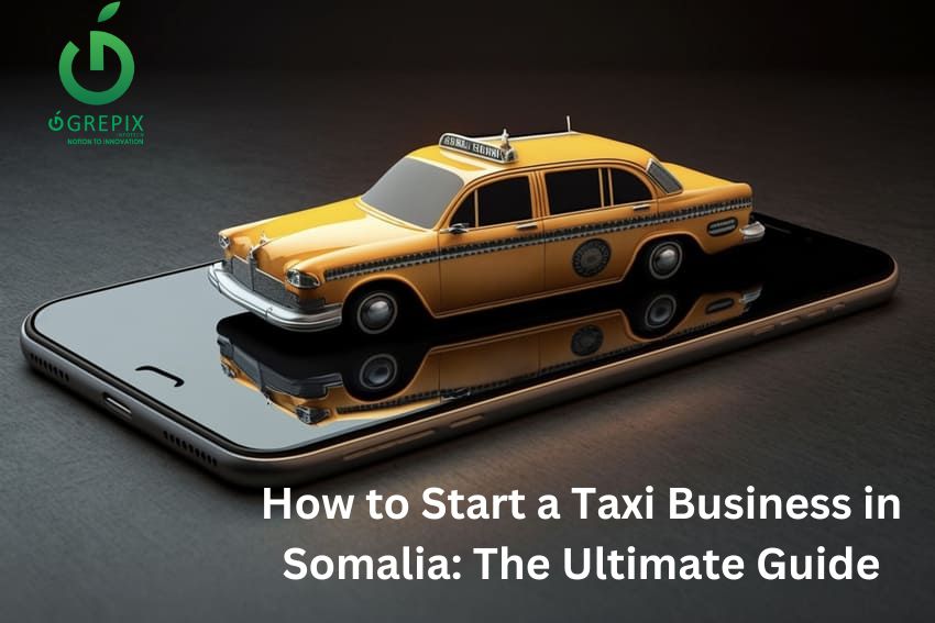 How to Start a Taxi Business in Somalia: The Ultimate Guide  